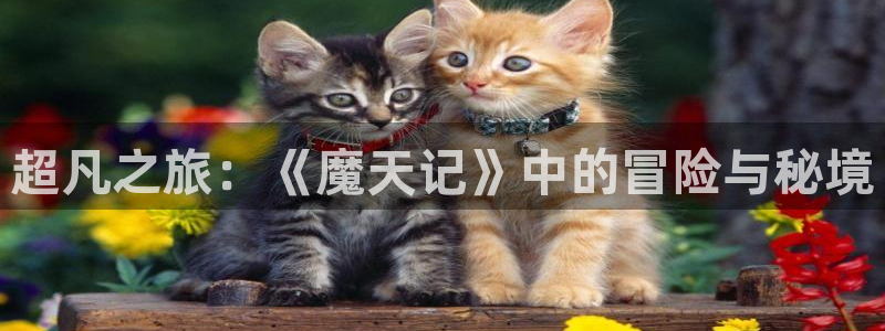 汗汗漫画在线观看免费