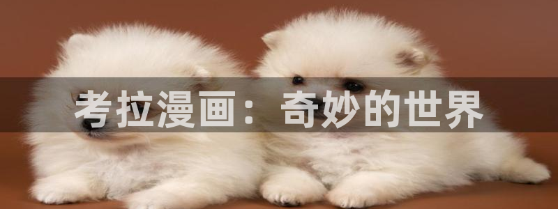 汗汗漫画免费漫画弹窗入口